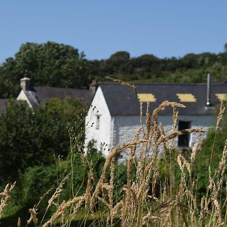 Nantgwynfaen Organic Farm Wales Villa Llandysul ภายนอก รูปภาพ