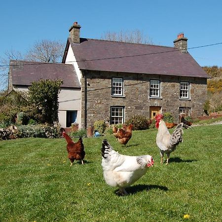 Nantgwynfaen Organic Farm Wales Villa Llandysul ภายนอก รูปภาพ