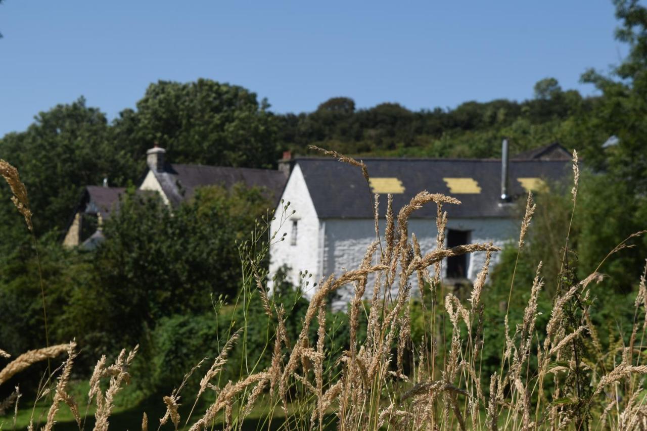 Nantgwynfaen Organic Farm Wales Villa Llandysul ภายนอก รูปภาพ