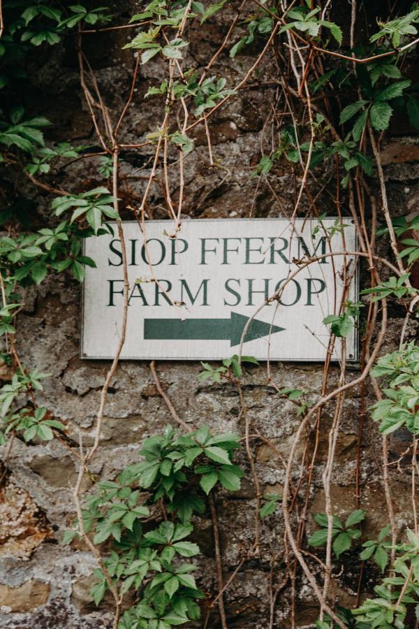 Nantgwynfaen Organic Farm Wales Villa Llandysul ภายนอก รูปภาพ