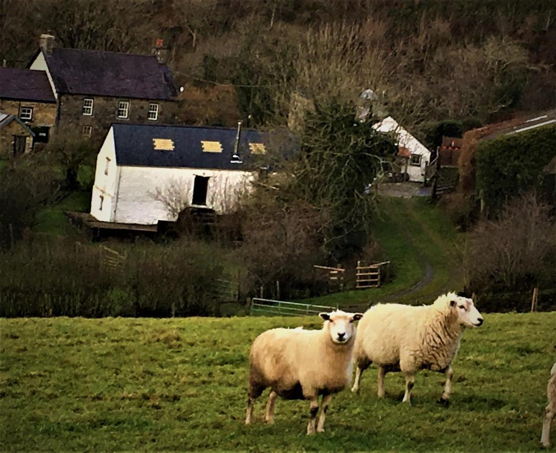 Nantgwynfaen Organic Farm Wales Villa Llandysul ภายนอก รูปภาพ