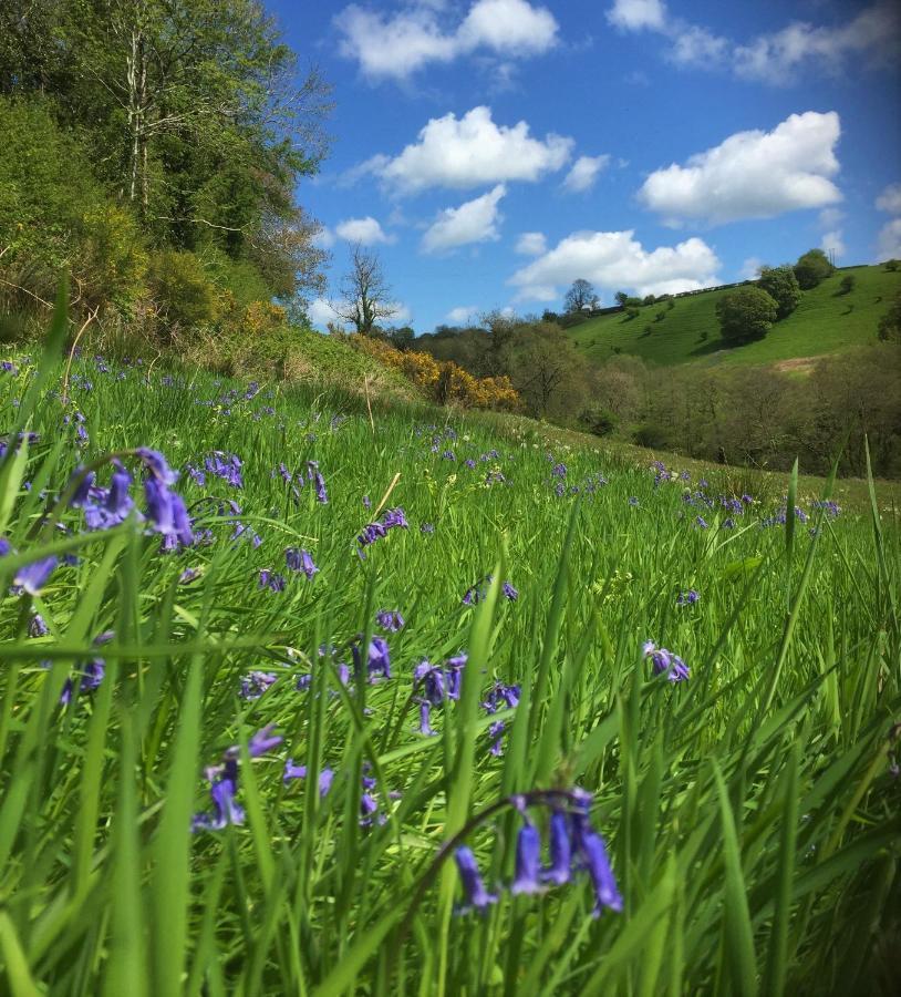 Nantgwynfaen Organic Farm Wales Villa Llandysul ภายนอก รูปภาพ