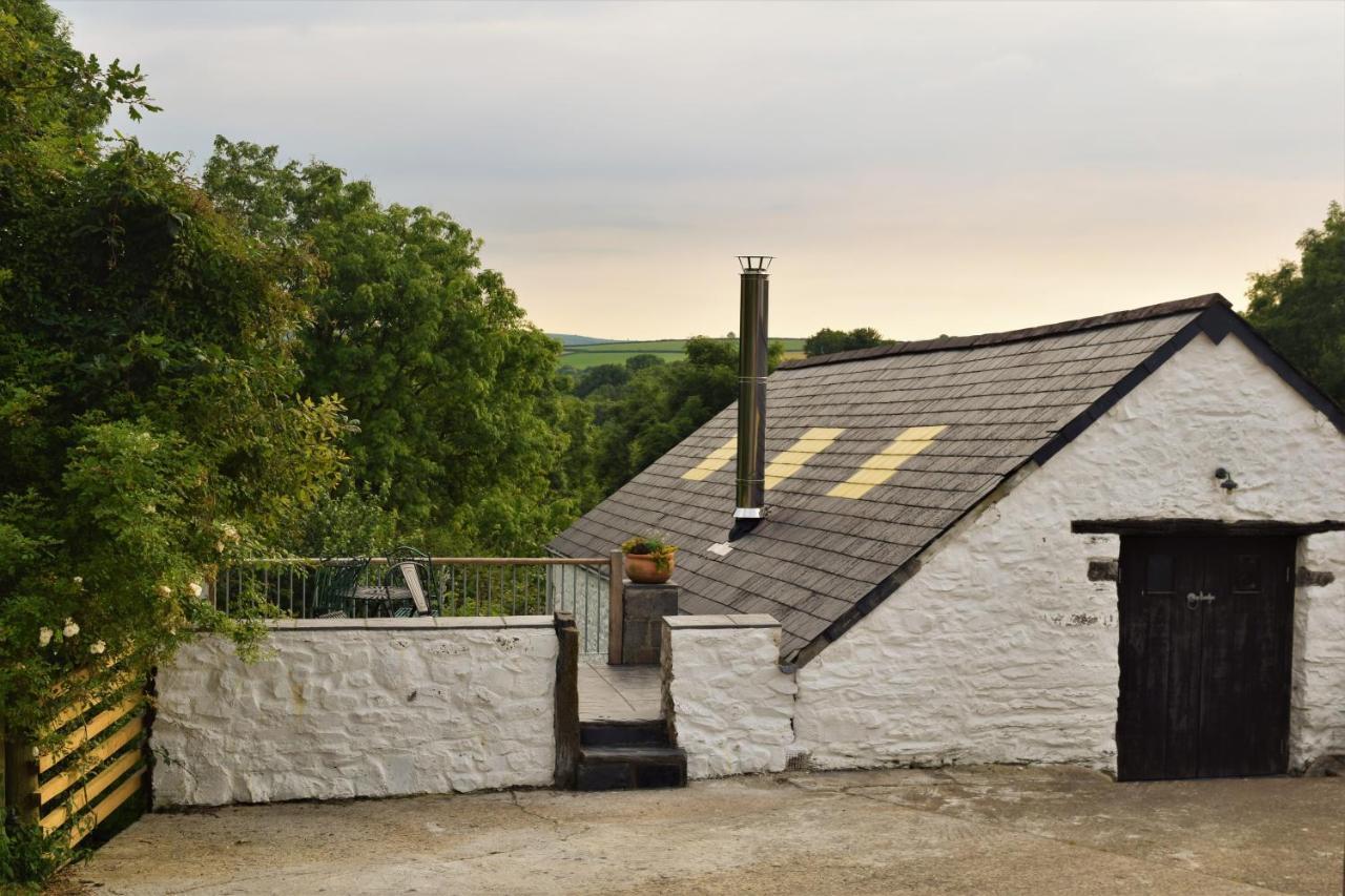 Nantgwynfaen Organic Farm Wales Villa Llandysul ภายนอก รูปภาพ