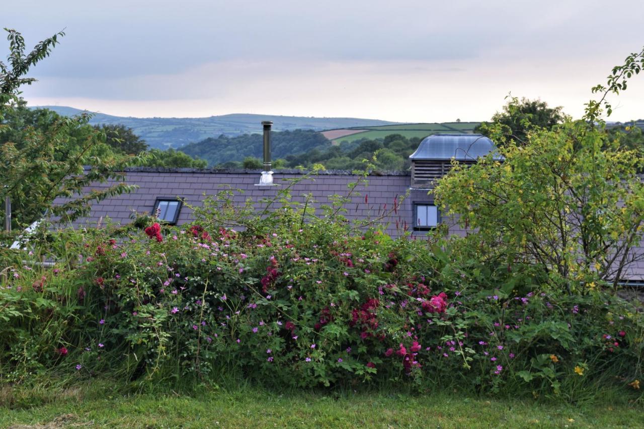 Nantgwynfaen Organic Farm Wales Villa Llandysul ภายนอก รูปภาพ