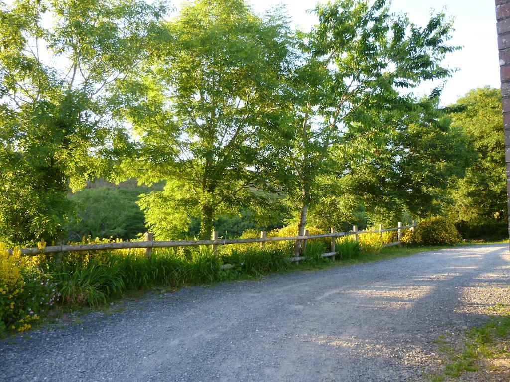 Nantgwynfaen Organic Farm Wales Villa Llandysul ภายนอก รูปภาพ