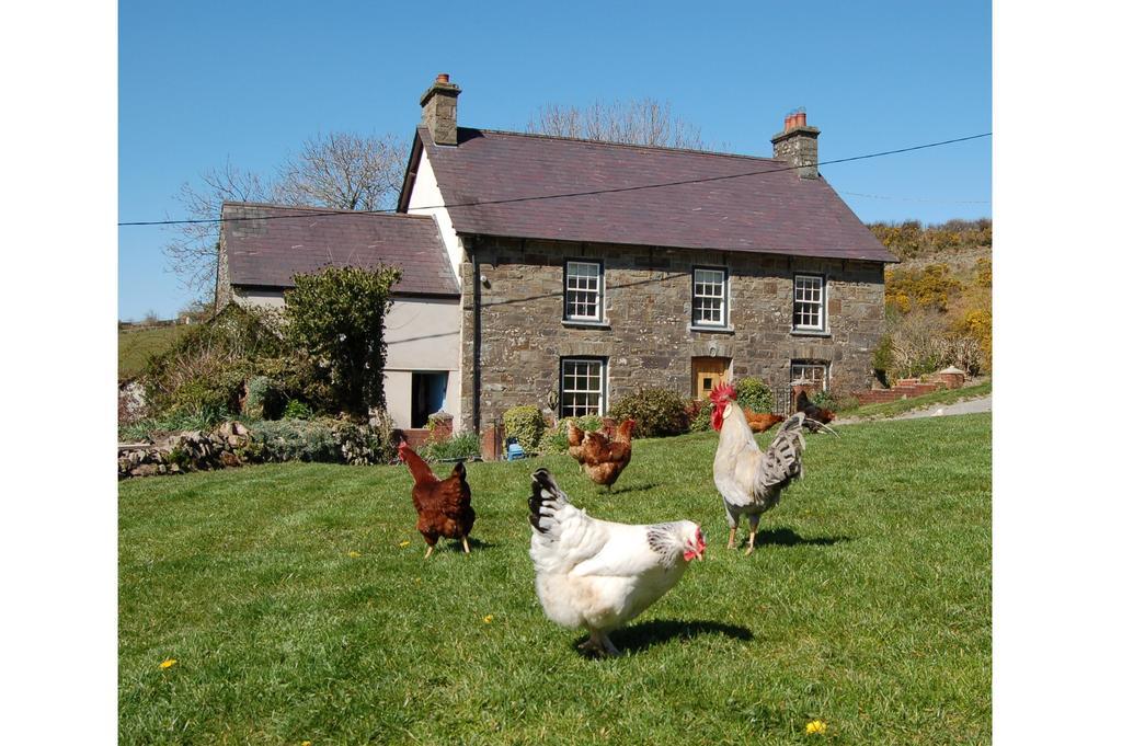 Nantgwynfaen Organic Farm Wales Villa Llandysul ภายนอก รูปภาพ