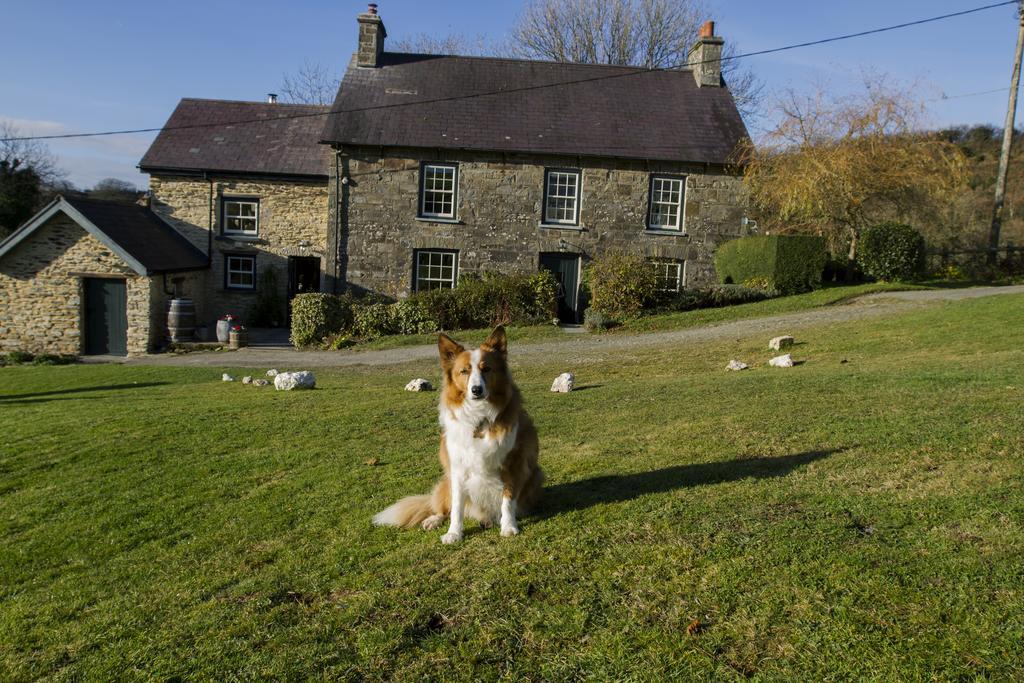 Nantgwynfaen Organic Farm Wales Villa Llandysul ภายนอก รูปภาพ